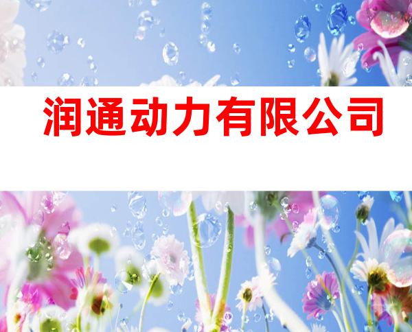 润通动力有限公司